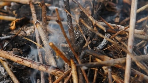 Burning Sticks and Embers Close Up
