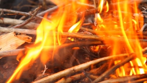 Vibrant Flames Consume Small Wood Pieces Up Close