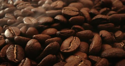 Steaming Roasted Coffee Beans in Macro Close Up