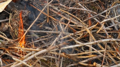 Burning Twigs and Branches with Flames