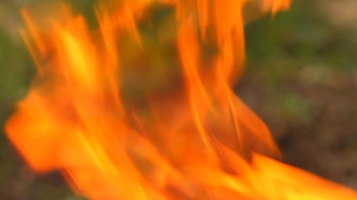 Vibrant Orange Flames Dancing in a Close Up Shot