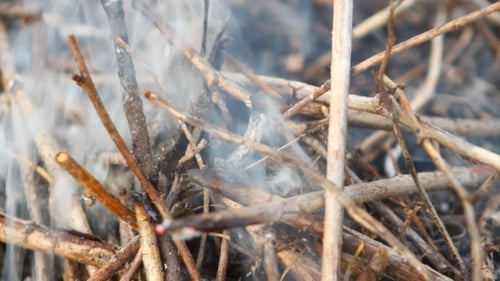Smoldering Branches Produce White Smoke