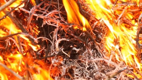 Burning Branches and Debris on Fire