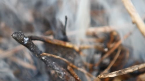 Small Fire of Smoldering Twigs and Grass