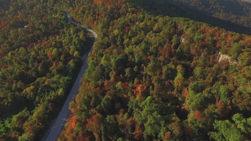 Aerial of Scenic Road with Fall Colors