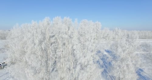 Morgen In einem Winterwald