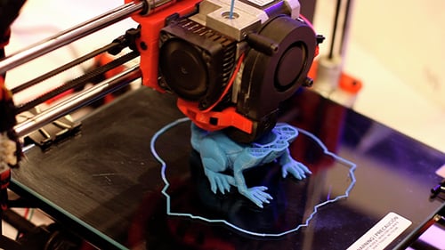 Three Dimensional Printer Manufacturing a Frog Object