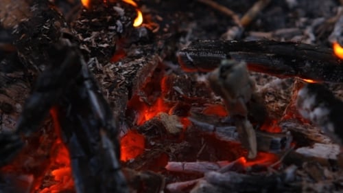 Embers After a Fire
