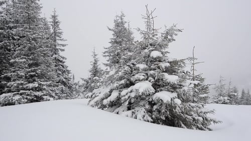 Winter Schnee