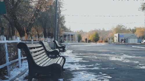 Park Bench Autumn Frosts