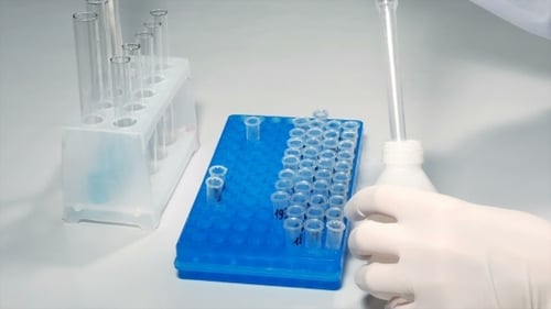 Lab Technician Scientist Makes Chemical Analysis