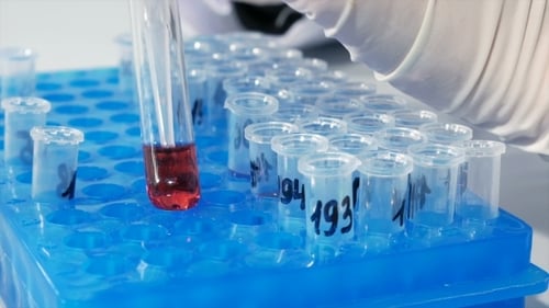 Lab Technician Scientist Makes Chemical Analysis