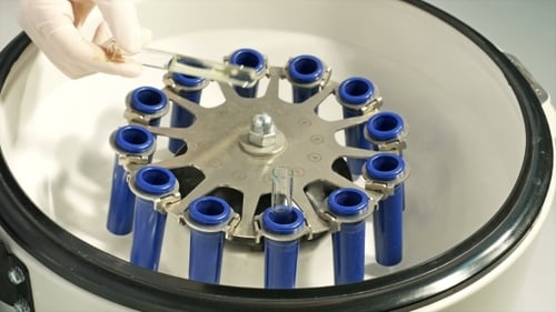 Placing Test Tubes Into a Centrifuge Machine