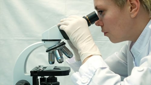 Woman Scientist Uses Microscope in Laboratory