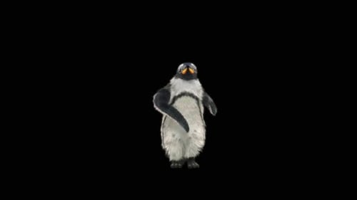 Realistic Penguin Walking and Waving Animation