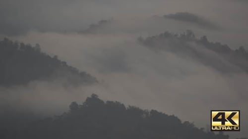 Fog and Mist Drifting over Tree Covered Mountains