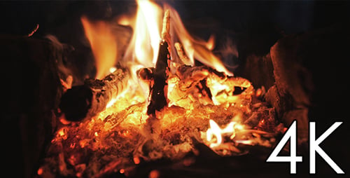 Nacht des Lagerfeuers