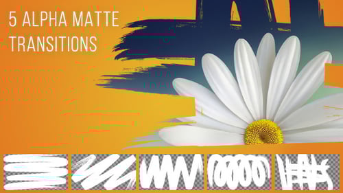 5 Paint Brush Transitions