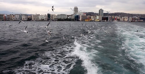 Möwen fliegen in Himmel, bewölktem Tag und Meer in der Stadt Izmir, Türkei