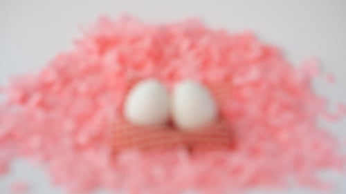 White Eggs Lying on Decorative Pink Spring Nest