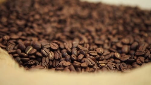 Burlap Bag Overflowing with Roasted Coffee Beans