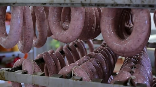 Rows of Raw Sausages Hanging in Factory