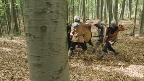 Medieval Warriors in Combat in a Forest