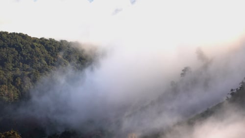 Fog Mountain