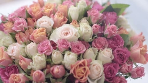 Beautiful Pastel Rose Bouquet Close Up