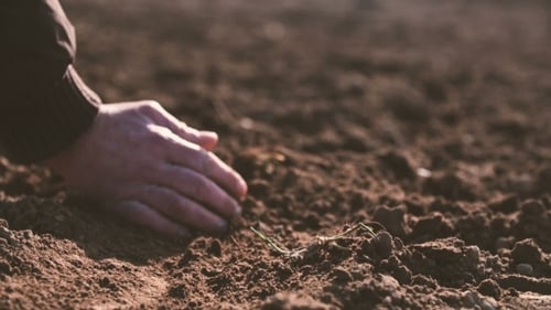 Farmer Hands Holding And Pouring Back Organic Soil