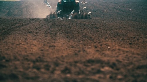 Traktor pflügt Feld bei Sonnenuntergang