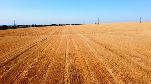 Drohnenaufnahme eines Fluges über die ländliche Agrarlandschaft.