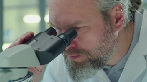 Bearded Scientist Examines Sample Through Microscope in Lab