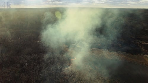 Natural Disaster - Burning Forest Fire