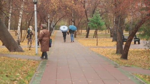 Paar spaziert im Park