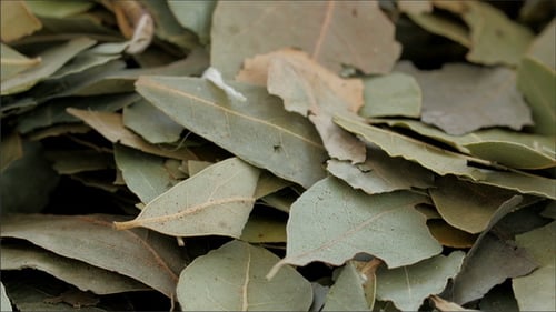 Dried Bay Leaves Piled Together