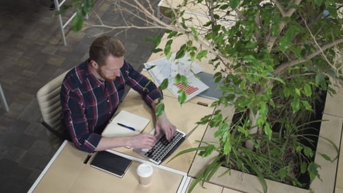 Man Working at Desk With Laptop and Plants
