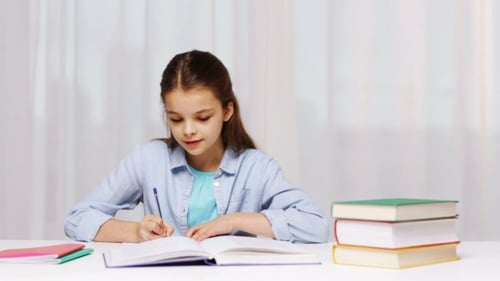 Happy School Girl With Books And Notepad At Home