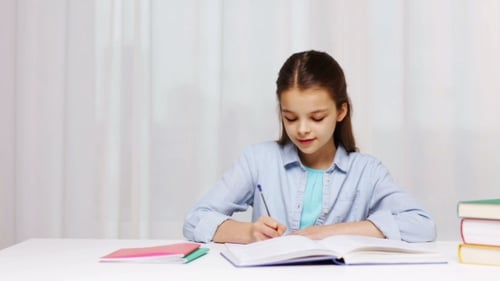 Happy School Girl With Books And Notepad At Home