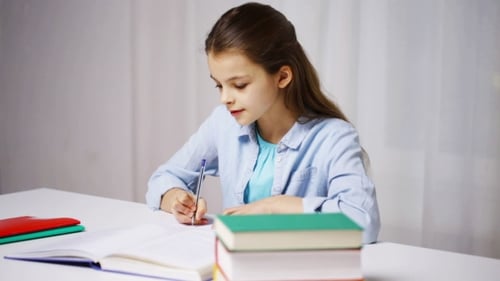 Happy School Girl With Books And Notepad At Home