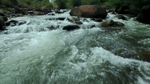 Fluss Stream 02