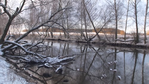 Winter Landscape With River And Forest.