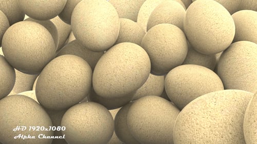 Eggs Transition