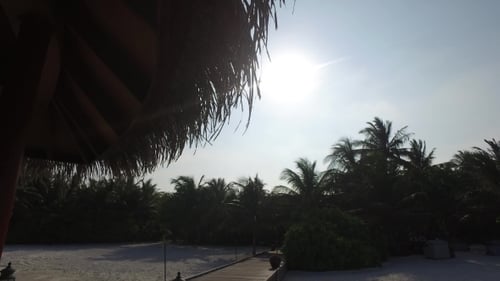 Wooden Bridge To Palapa Shed On Beach 1