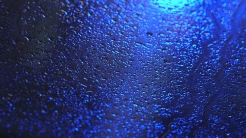 Close Up of Rain Drops with Blue Light