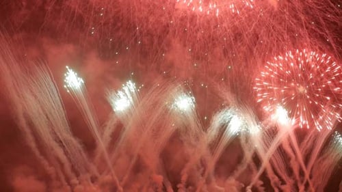 Bright Fireworks Exploding in the Night Sky