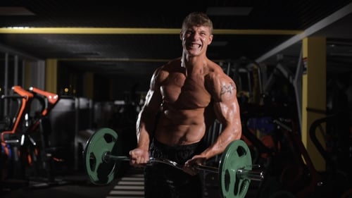 Young Adult Bodybuilder Doing Weight Lifting In Gym.