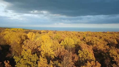 Natur im Herbst