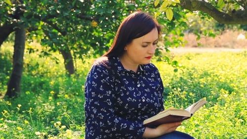 Attractive Woman Reading Book In Park.
