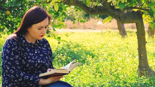 Attractive Woman Reading Book In Park.
